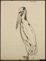 Arthur Lismer, 1885 - 1969
Untitled (pelican)
crayon (?) and pen and ink
22.8 x 30.5 cm
Art…