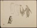 Arthur Lismer, 1885 - 1969
Untitled (penguins)
pen and ink on paper
32 x 30.6 cm
Arthur Lis…