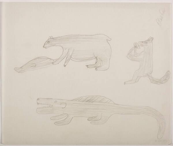 drawing