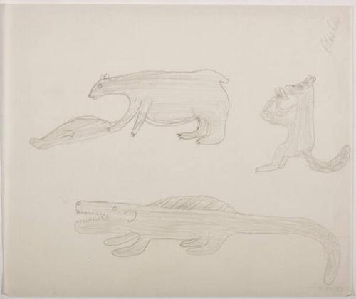 drawing