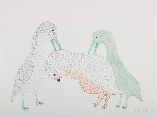 drawing