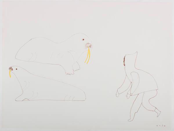 drawing