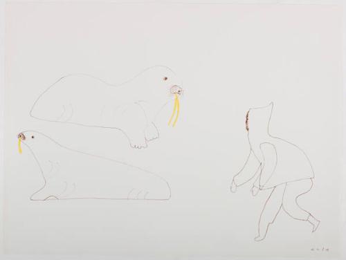 drawing