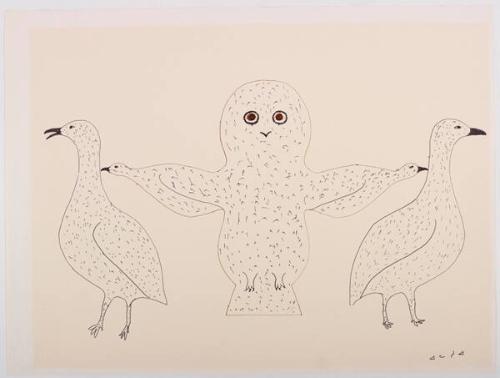 drawing