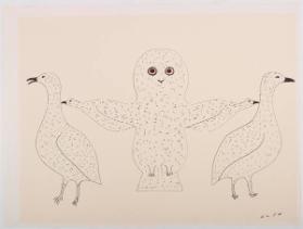 drawing