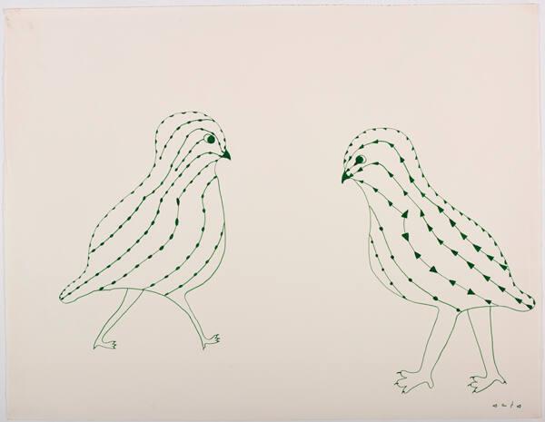 drawing