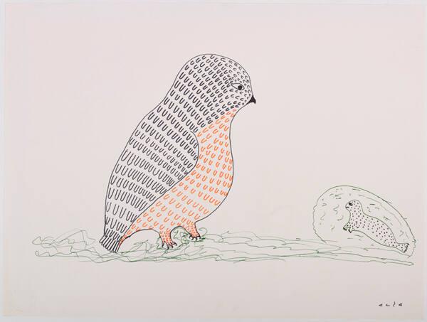 drawing