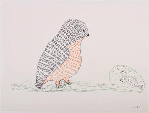 drawing