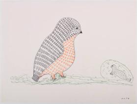 drawing