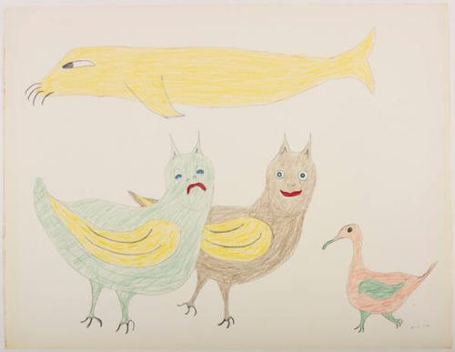 drawing