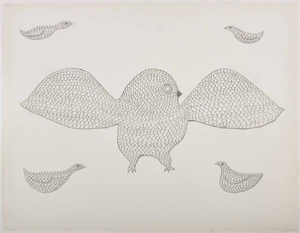 drawing