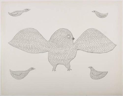 drawing