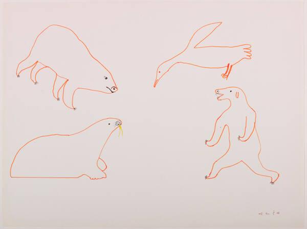 drawing