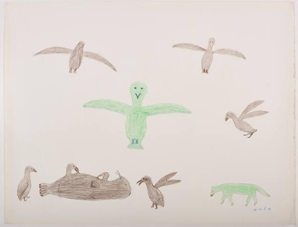 drawing
