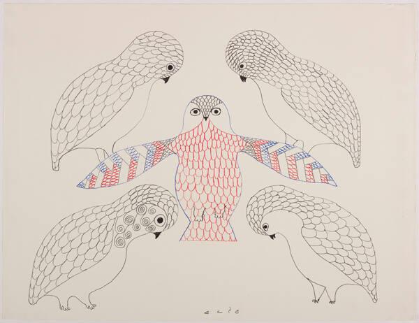 drawing