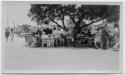 J.E.H. and wife Joan MacDonald, photographers
West Indies, Spring 1932
black and white print
…