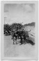 J.E.H. and wife Joan MacDonald, photographers
West Indies, Spring 1932
black and white print
…