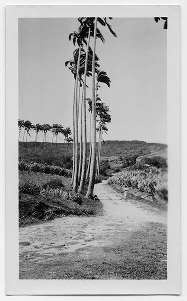 J.E.H. and wife Joan MacDonald, photographers
West Indies, Spring 1932 - Castries, St. Lucia
…