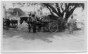 J.E.H. and wife Joan MacDonald, photographers
West Indies, Spring 1932 - Stand for Carts
blac…