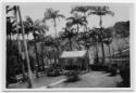 J.E.H. and wife Joan MacDonald, photographers
West Indies, Spring 1932
black and white print
…