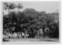 J.E.H. and wife Joan MacDonald, photographers
West Indies, Spring 1932
black and white print
…