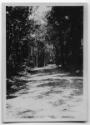 J.E.H. and wife Joan MacDonald, photographers
West Indies, Spring 1932
black and white print
…