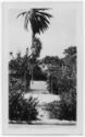 J.E.H. and wife Joan MacDonald, photographers
West Indies, Spring 1932
black and white print
…