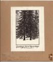 Thoreau MacDonald (1901 - 1989)
Greetings from Tapawingo (original Christmas card design for R…