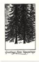 Thoreau MacDonald (1901 - 1989)
Greetings from Tapawingo (Christmas card designed for Robert a…