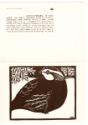 Thoreau MacDonald  (1901 - 1989)
Quail (card design contributed to benefit UNICEF, the United …