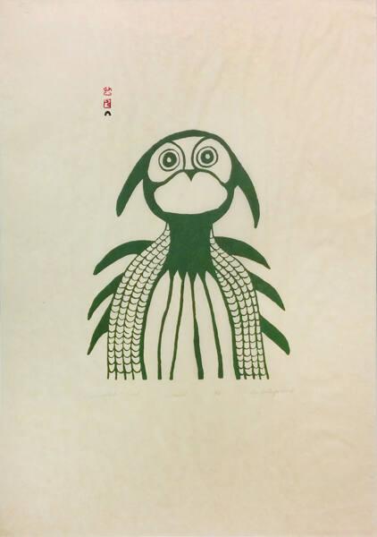 Startled Owl