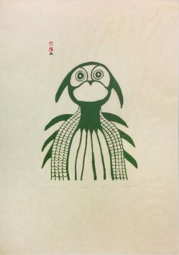 Startled Owl