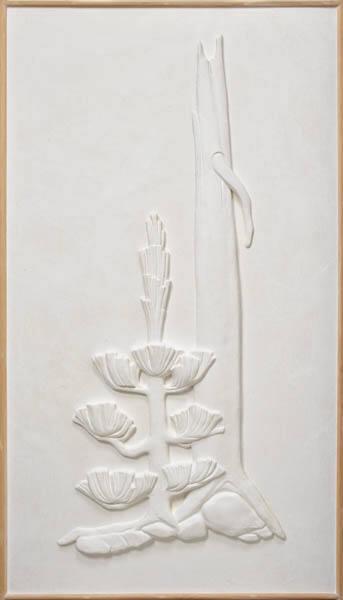 Photo Credit: Craig Boyko