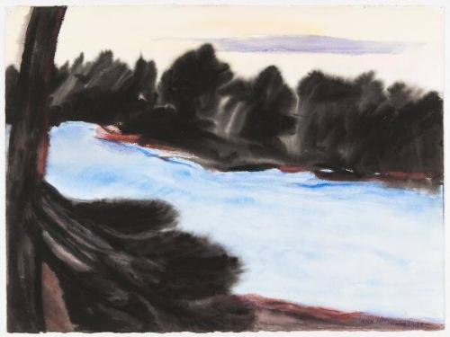 The Magnificent Wilderness