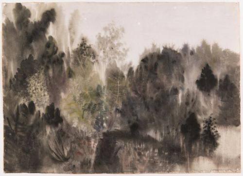 Northern Forest