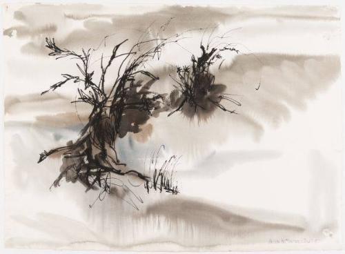 Shoreline