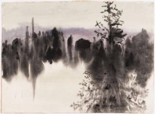 Northern Evening