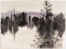 Northern Evening