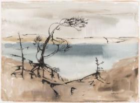 Northern Pines