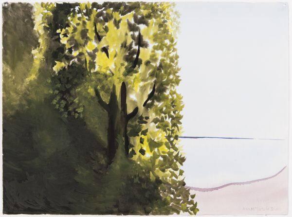 The Maple Tree