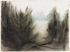 Through the Forest