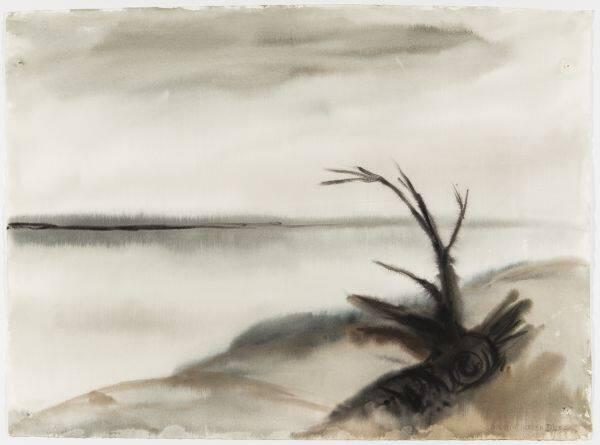 Far North