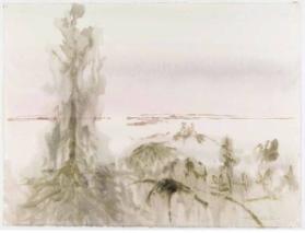 Photo Credit: Toni Hafkenscheid