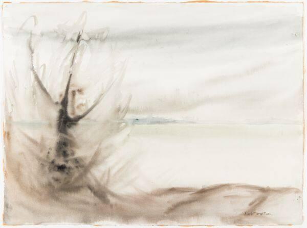 Northern Landscape