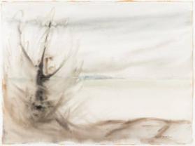Northern Landscape