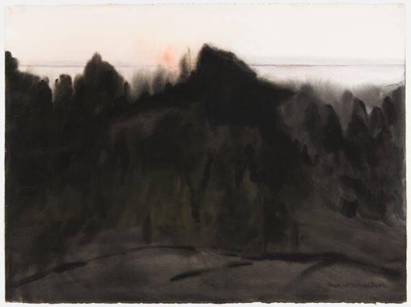 Dark Landscape