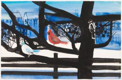 Cardinal in Winter