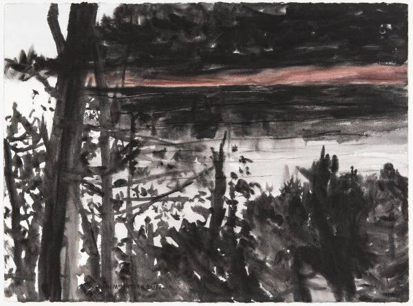 In the Woods