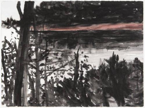 In the Woods