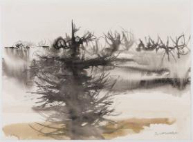 Far North